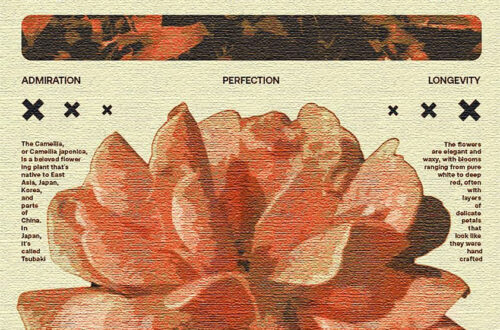 Elegant A3 Blossom Poster Elegant A3 Blossom Poster