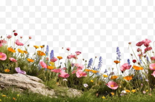 Free PNG Downloads in Seconds Free PNG Downloads in Seconds