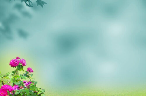 Free Download: 10 Stunning Photo Studio Backgrounds (PSD) Free Download: 10 Stunning Photo Studio Backgrounds (PSD)