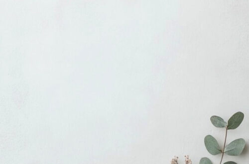 Bring Zen to Your Space with a Green Forest BG Bring Zen to Your Space with a Green Forest BG