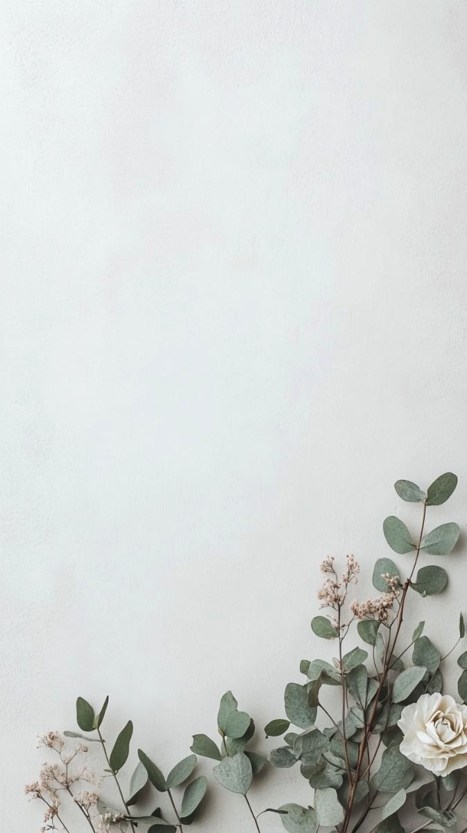 Bring Zen to Your Space with a Green Forest BG