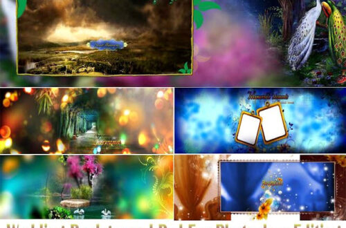 30 Free Wedding Background PSDs for Easy Photoshop Editing 30 Free Wedding Background PSDs for Easy Photoshop Editing