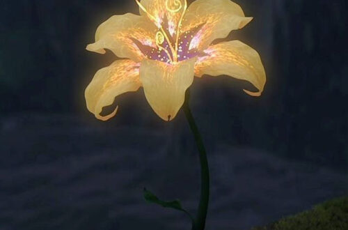 Petals You’ll Love