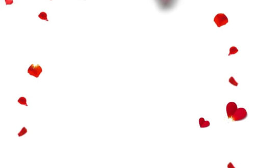Romantic Red Rose Petals Valentine’s Day Background (Free Download)