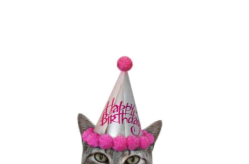 Find Your Happiness Formula