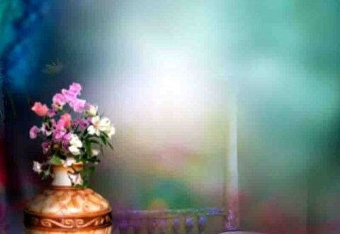 Brighten Your Space with a Vibrant Flower Background