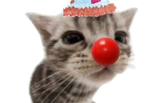 Adorable Clown Cat: A Joyful Surprise
