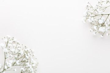 Blooming Beauty: Free Watercolor Rose Backgrounds