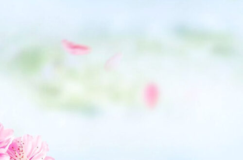 Romantic Floral Backgrounds: 100% Free Art & PNG Vectors Romantic Floral Backgrounds: 100% Free Art & PNG Vectors