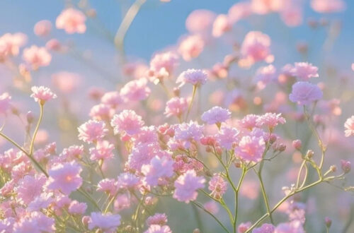 Roses Reign in Soft Pink Hues Roses Reign in Soft Pink Hues