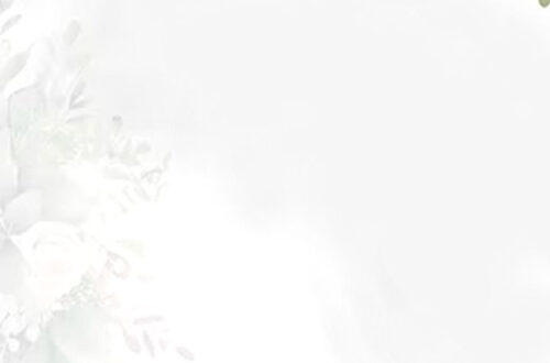 Elegant Wedding Invitation Backdrops