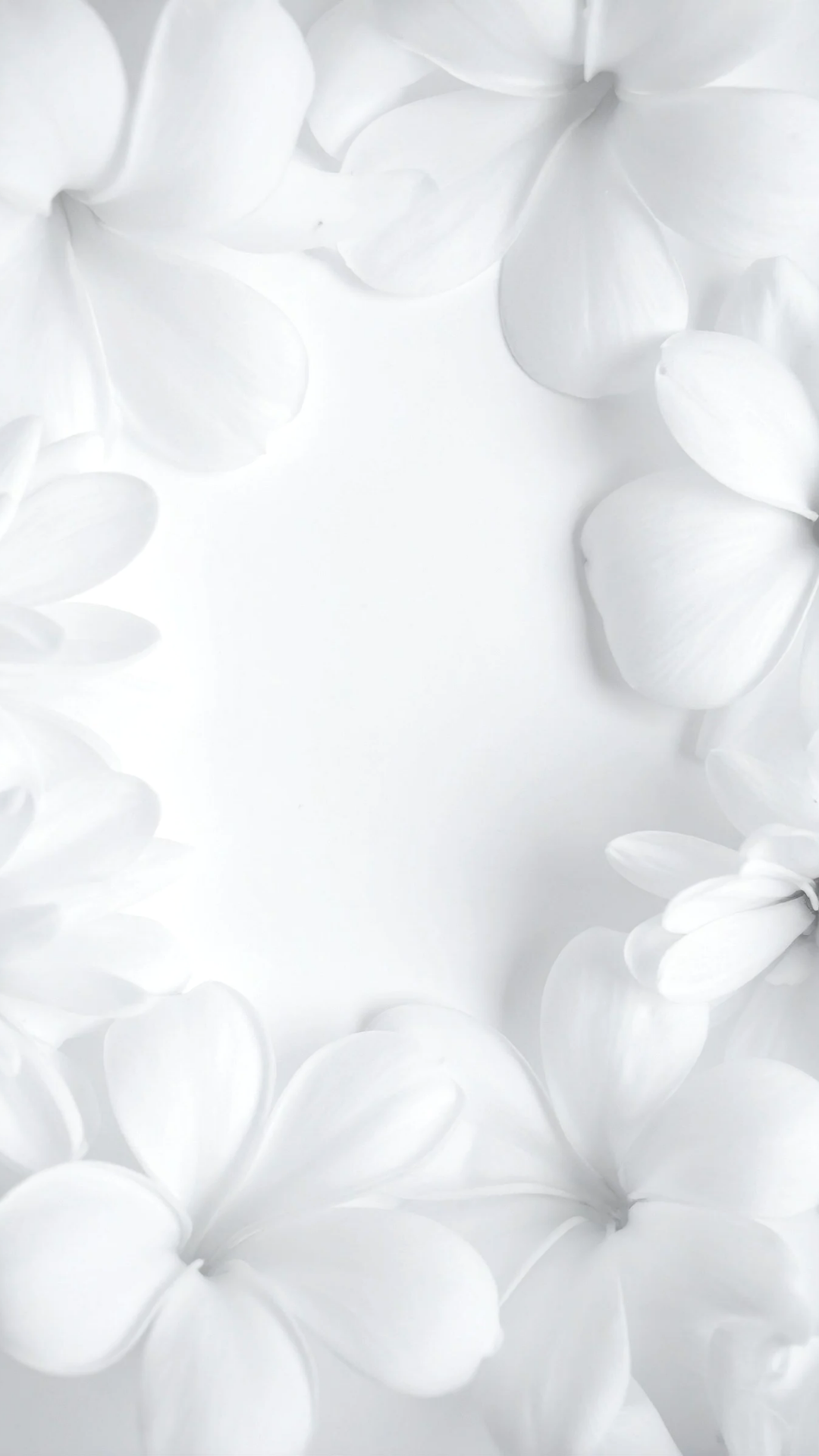 Romantic White Florals Background