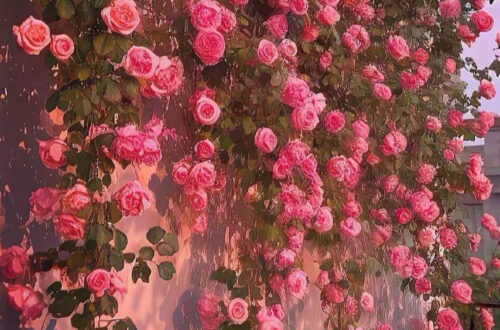 Spring Bloom Wallpapers: 20 Gorgeous iPhone Backgrounds