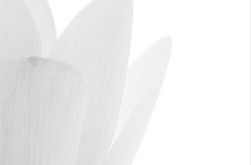 Heartbeats & Happily Ever After