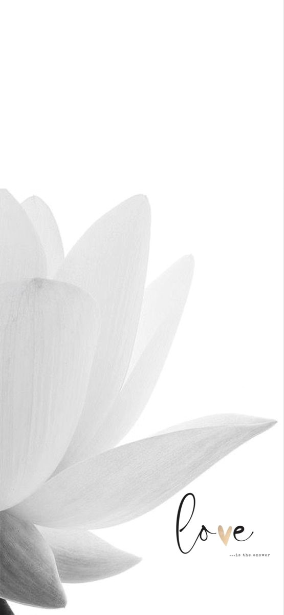 Heartbeats & Happily Ever After