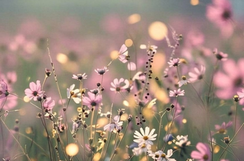 Transform Your Space with Stunning Wallpapers Transform Your Space with Stunning Wallpapers