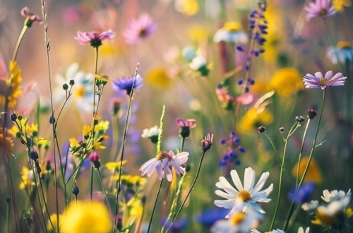 Transform Your Space — Unique Wallpapers Transform Your Space — Unique Wallpapers