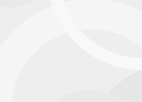 Minimalist White Background Vectors