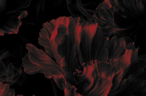 Elegant Phone Wallpaper Collection