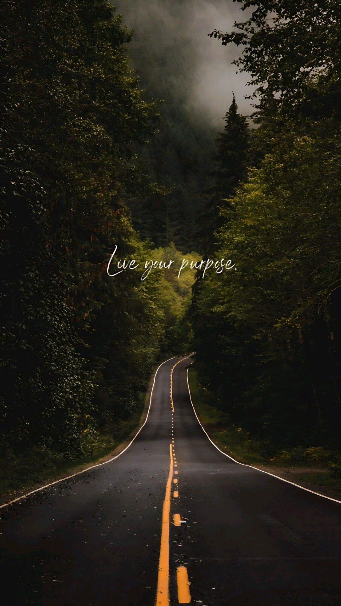 Stunning 4K Wallpapers for Your Phone or Computer