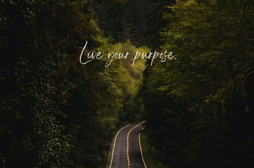 Stunning 4K Wallpapers for Your Phone or Computer Stunning 4K Wallpapers for Your Phone or Computer