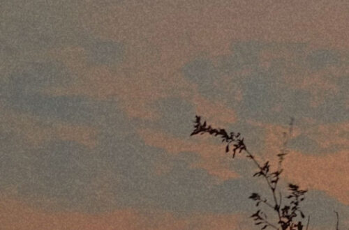 Uncover Your Authentic Self Today