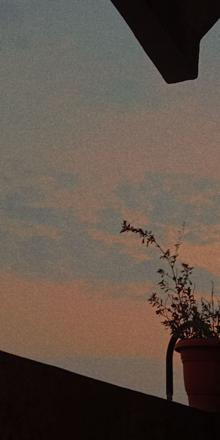 Uncover Your Authentic Self Today