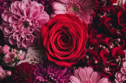 10 Easy Floral Phone Wallpapers to Brighten Up Your Lock Screen
