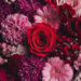 10 Easy Floral Phone Wallpapers to Brighten Up Your Lock Screen