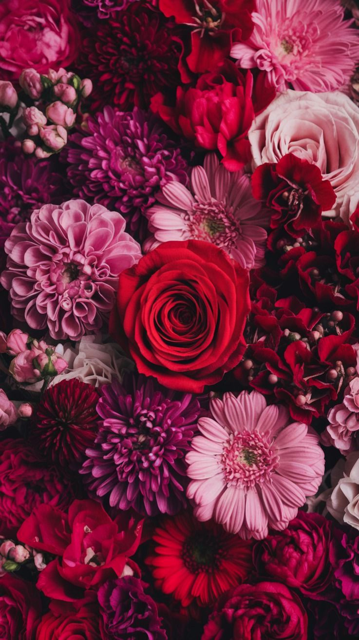 10 Easy Floral Phone Wallpapers to Brighten Up Your Lock Screen