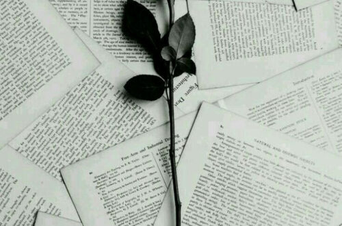 Life-Changing Gallery Inspiration Found