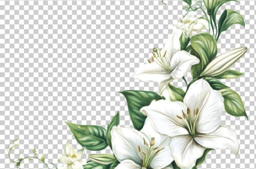 Elevate Your Brand with These Luxe Floral Icons