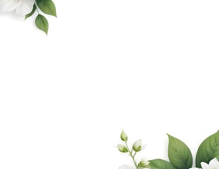 Blooming Beauty on Pure White.