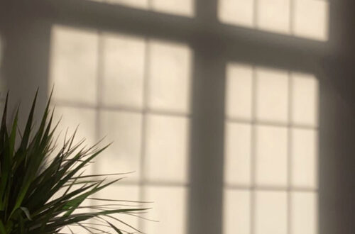 Golden Hour Magic Golden Hour Magic