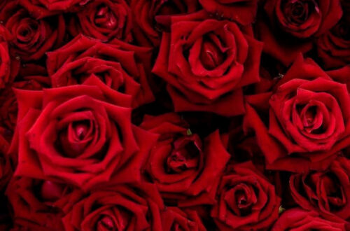 Decorate Your Walls in Style