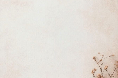 Breathtaking Minimalist Backgrounds with Dried Petals Breathtaking Minimalist Backgrounds with Dried Petals