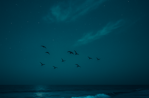 The Ones Who Leave the Biggest Impact