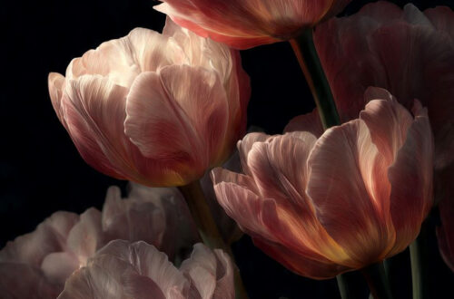 Stunning Aesthetic Wallpapers for Your Mobile Stunning Aesthetic Wallpapers for Your Mobile