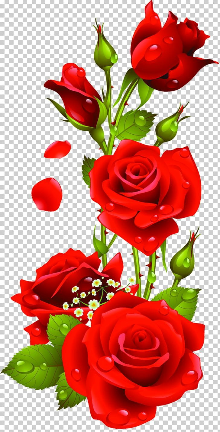Free Rose PNG Images for Your Designs
