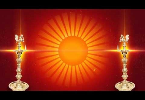 Dreamy Wedding Backgrounds That Will Steal the Show