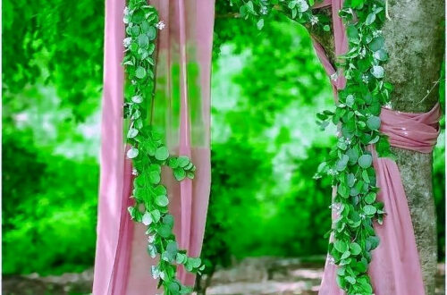 Elevate Your Style with Luxe Backgrounds Elevate Your Style with Luxe Backgrounds