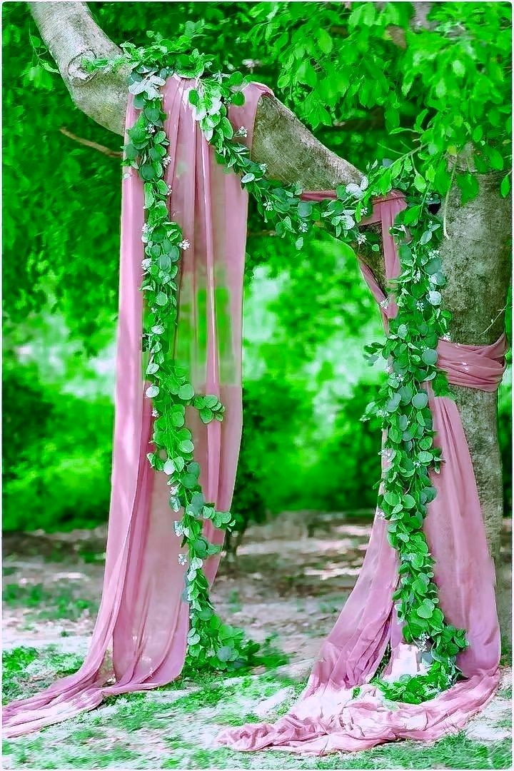 Elevate Your Style with Luxe Backgrounds