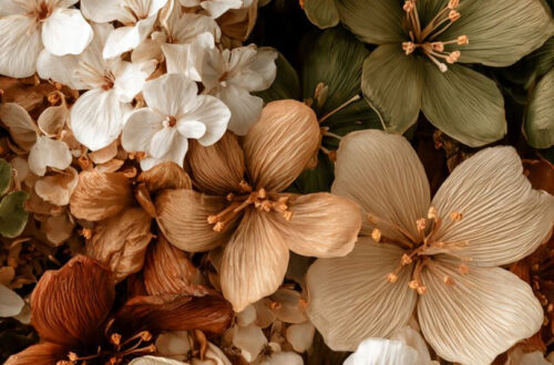 Nature’s Secrets Revealed Nature’s Secrets Revealed