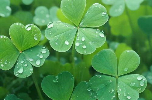 Unleash the Emerald Magic: 4K St. Patrick’s Day Wallpapers