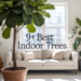 10 Statement Indoor Trees to Elevate Your Home Decor