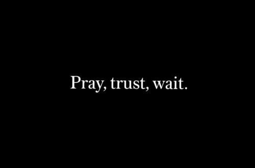 Trust the Waiting: 3 Powerful Steps to Faith Trust the Waiting: 3 Powerful Steps to Faith