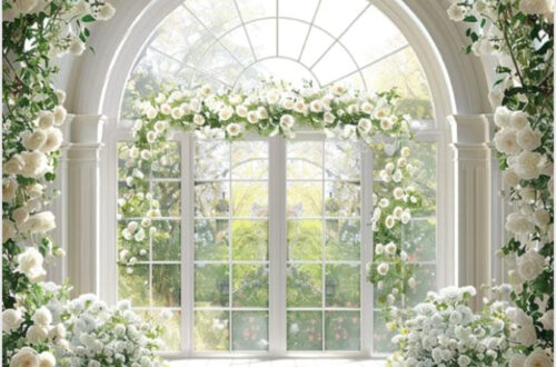 Picture Perfect Colors