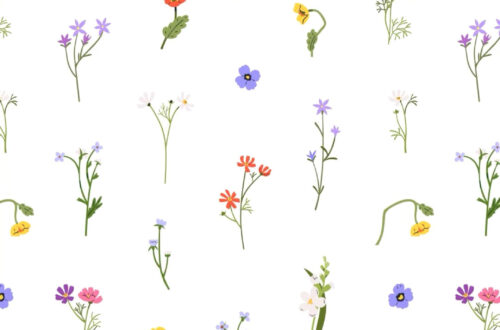 Elevate Your Lockscreen with Simple Floral Vibes Elevate Your Lockscreen with Simple Floral Vibes