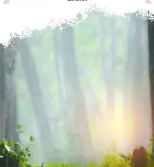 50 Unique Wedding Album Designs to Elevate Your Photos 50 Unique Wedding Album Designs to Elevate Your Photos