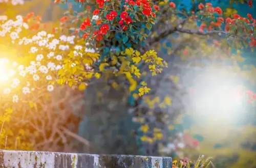 Master Face Edit in PicsArt (2022 Tutorial)